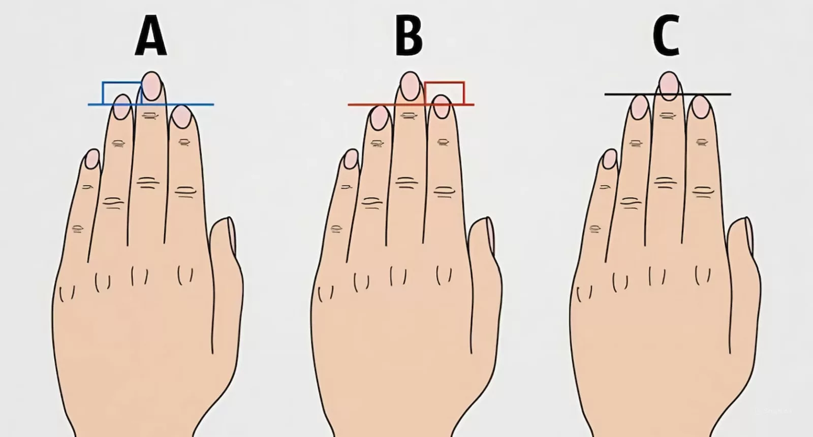 اختبار سريع طول أصابعك سيكشف جوانب مدهشة من شخصيتك